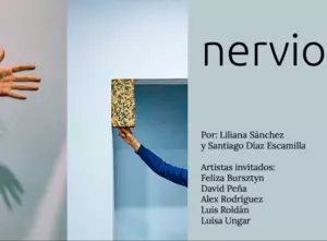 Nervio_lilianasanchez_Santiagodiazescamilla.webp