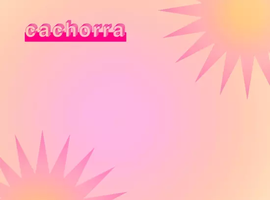 Cachorra takes over InFocus!
