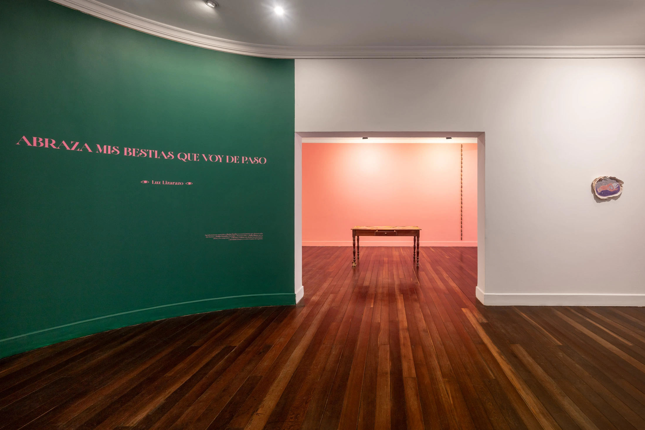 CASAS_Luz_Sala_02.webp